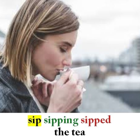 Sip2